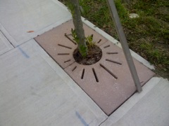 Tree Grates